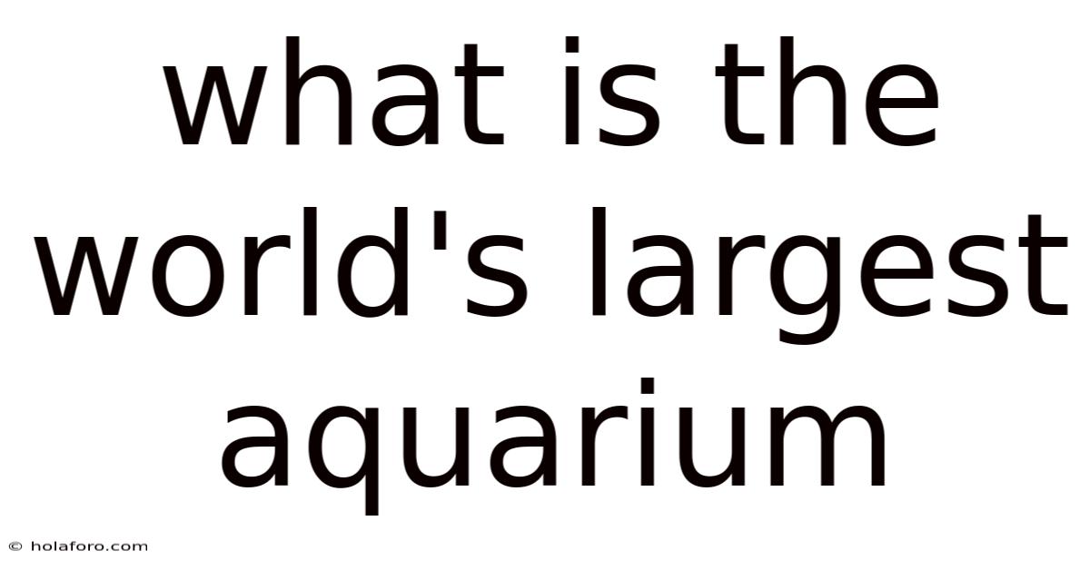 What Is The World's Largest Aquarium