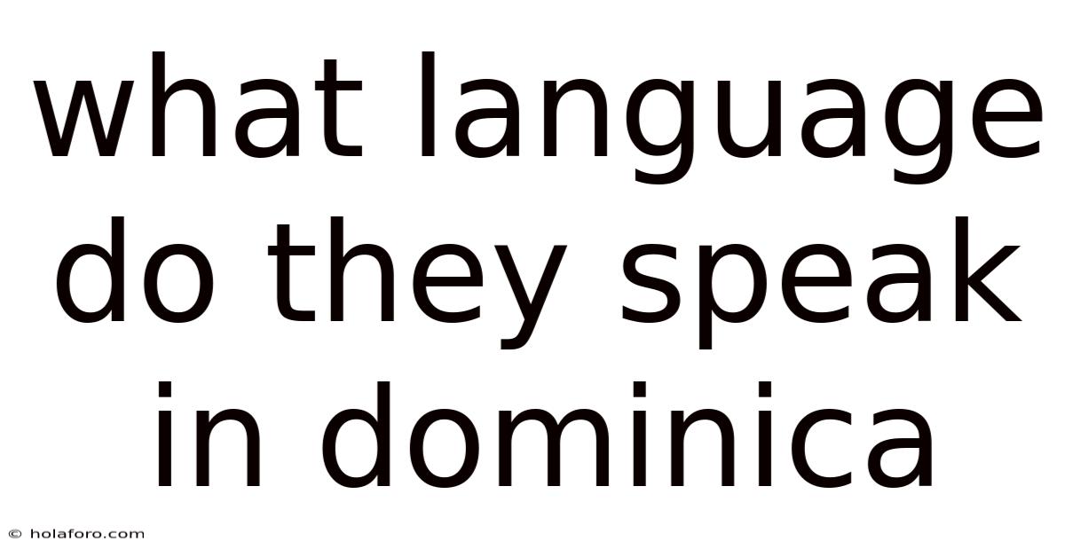 What Language Do They Speak In Dominica