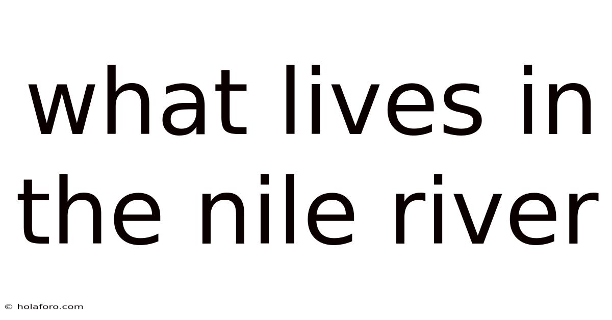 What Lives In The Nile River