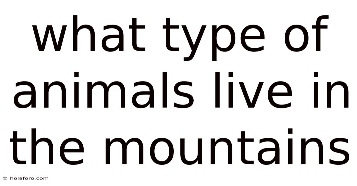 What Type Of Animals Live In The Mountains