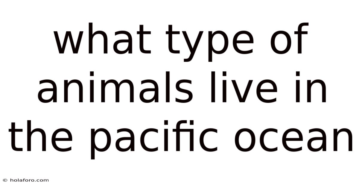 What Type Of Animals Live In The Pacific Ocean