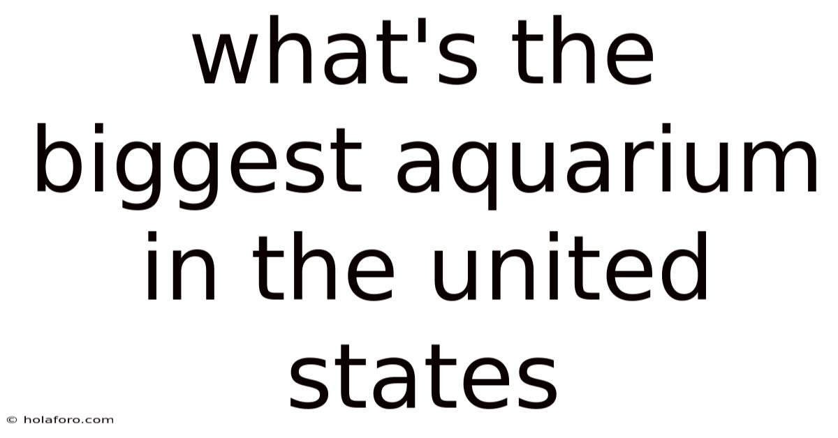 What's The Biggest Aquarium In The United States