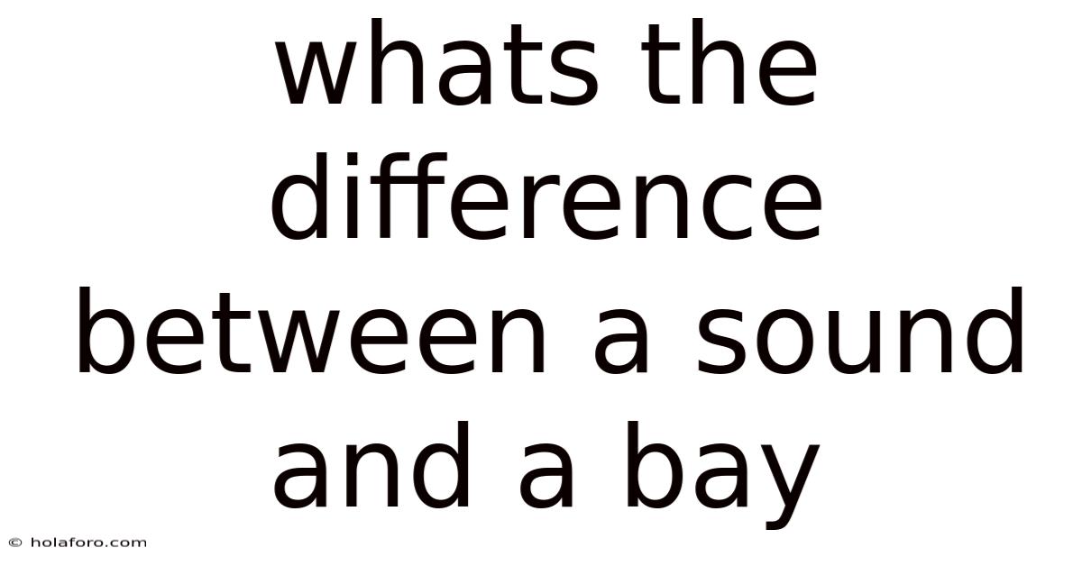 Whats The Difference Between A Sound And A Bay