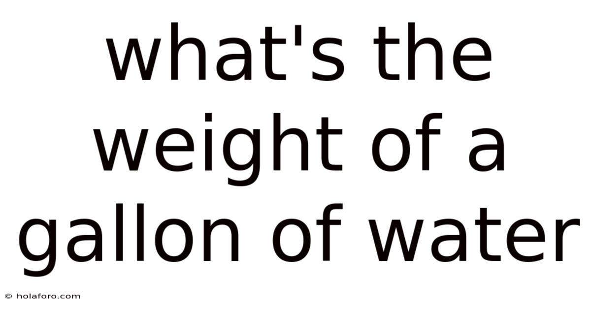 What's The Weight Of A Gallon Of Water