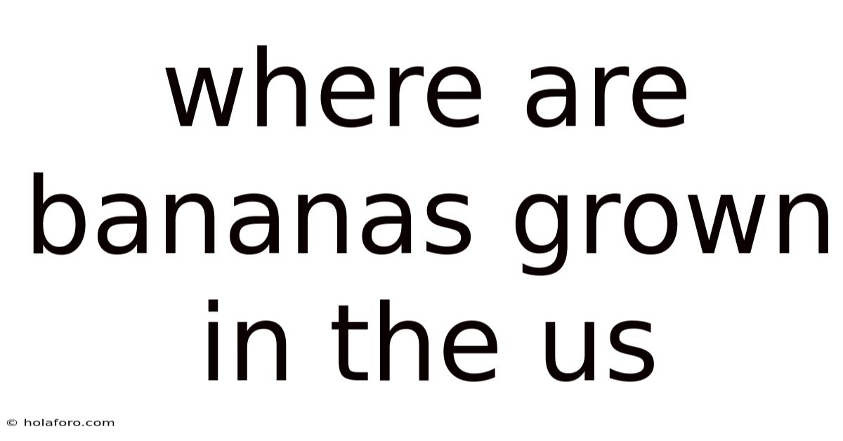 Where Are Bananas Grown In The Us