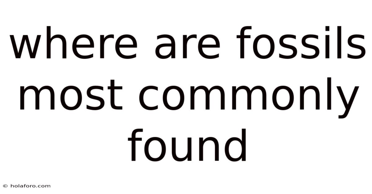 Where Are Fossils Most Commonly Found