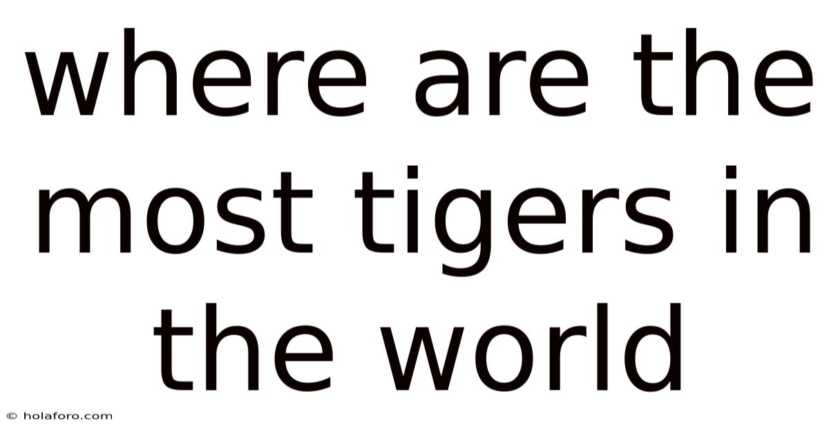 Where Are The Most Tigers In The World