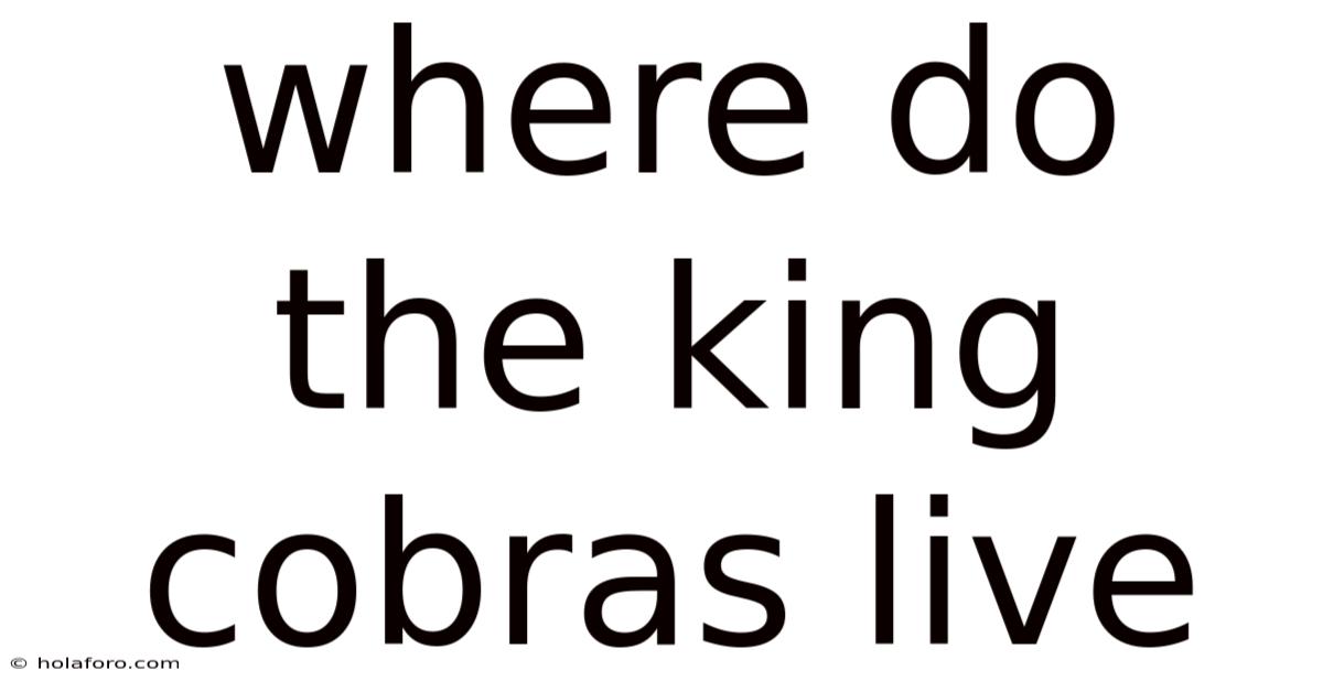 Where Do The King Cobras Live