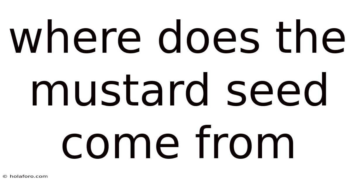 Where Does The Mustard Seed Come From