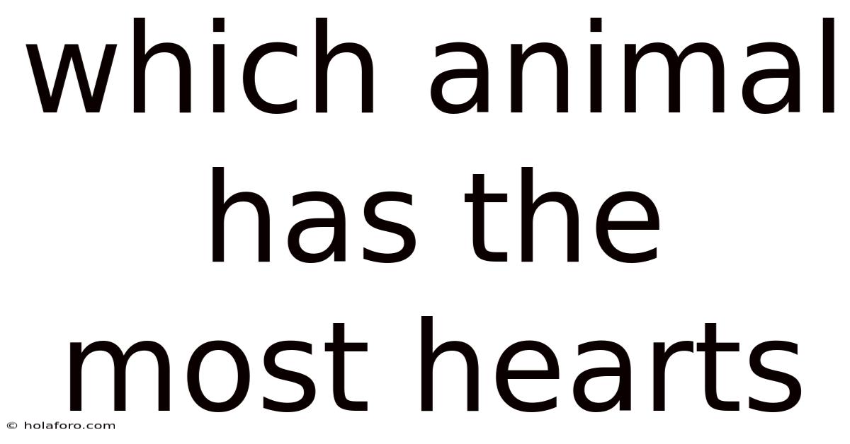 Which Animal Has The Most Hearts
